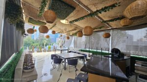 ROOF PALMAS